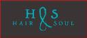 Hair & Soul logo